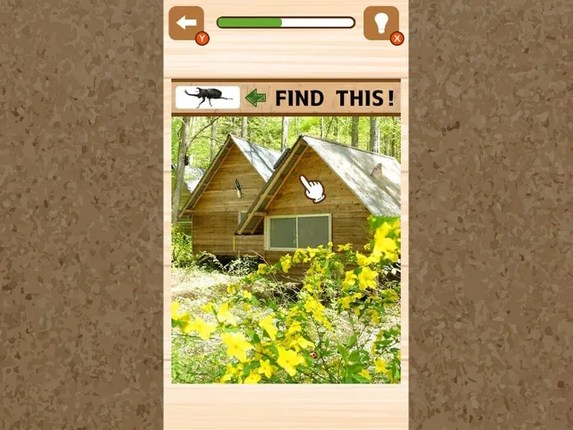 Where’s the Insect?