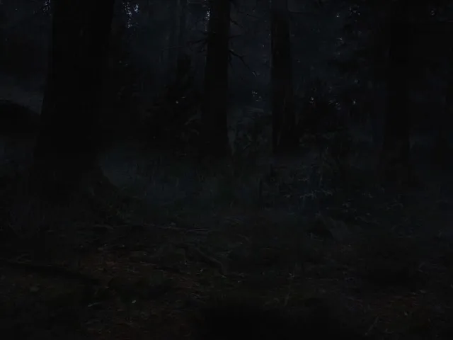 Whispers in the Fog