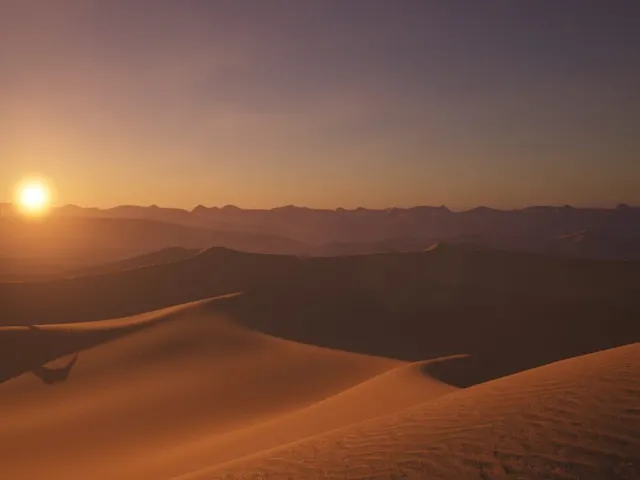 Whispers of the Sands