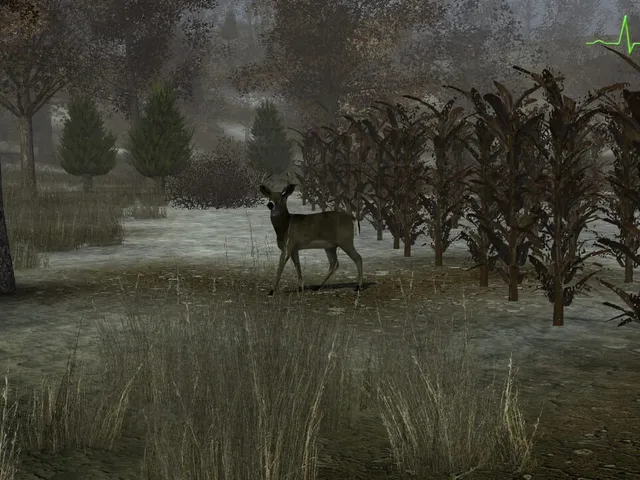 Whitetail Challenge