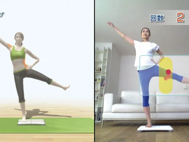 Wii Fit