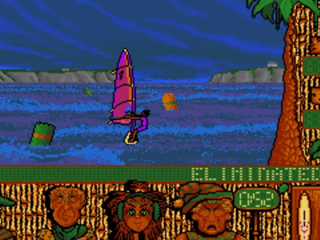 Wind Surf Willy