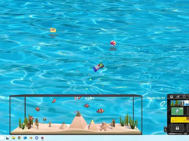 Window Aquarista