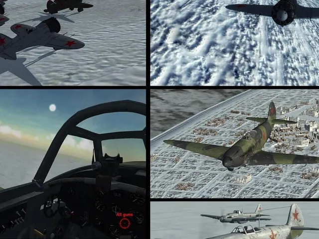 Wings of Duty