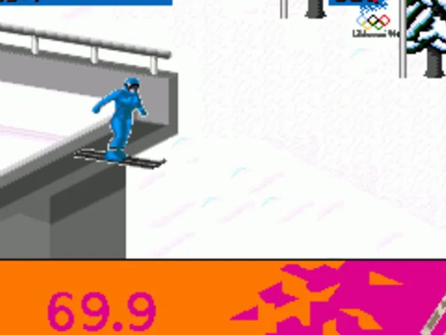 Winter Olympic Games
