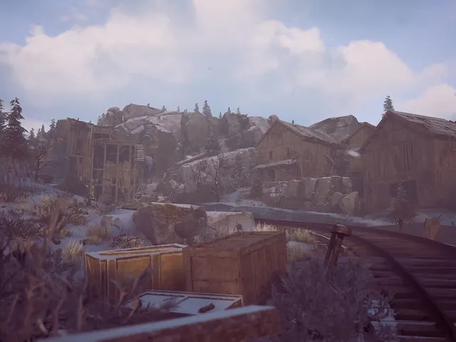 Winter Survival