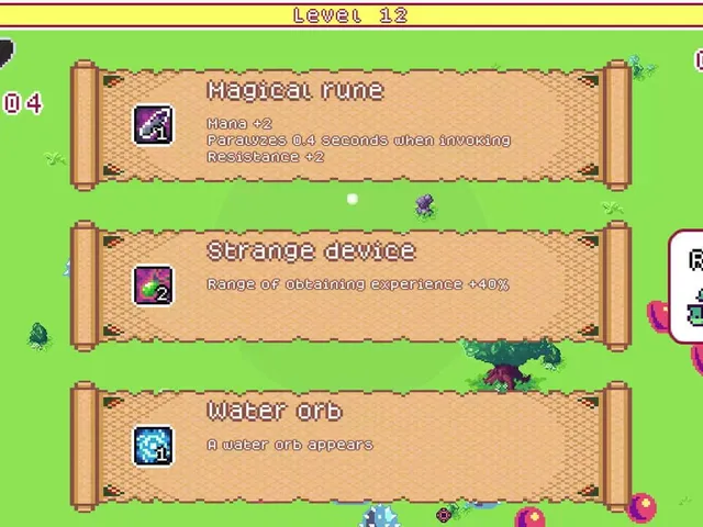 Witch Guild Survivor