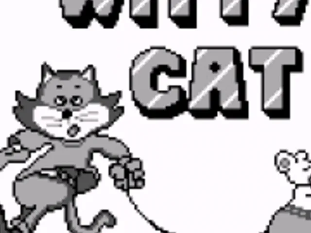 Witty Cat