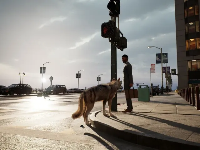 Wolf in the City