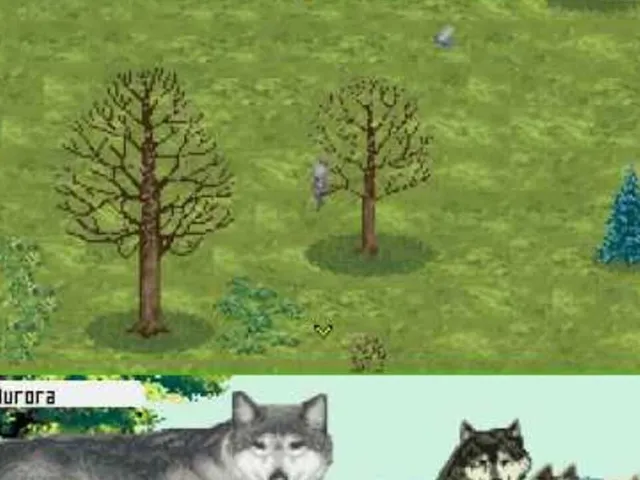 Wolf