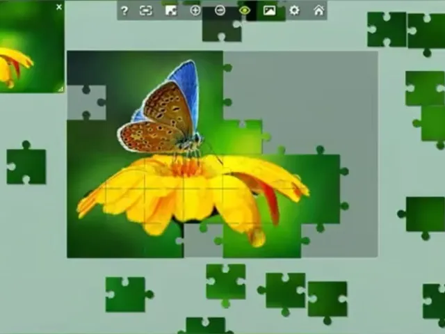 Wonderful Jigsaw