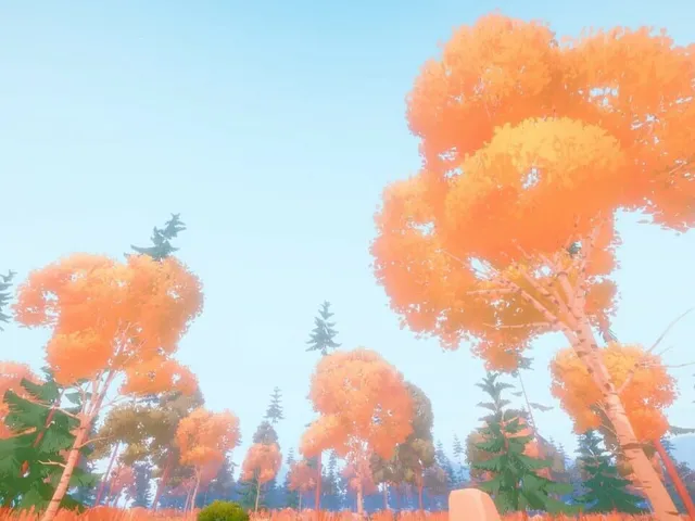 Woodland Hike