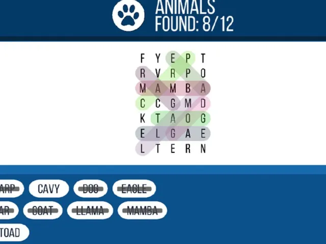 Word Search Game