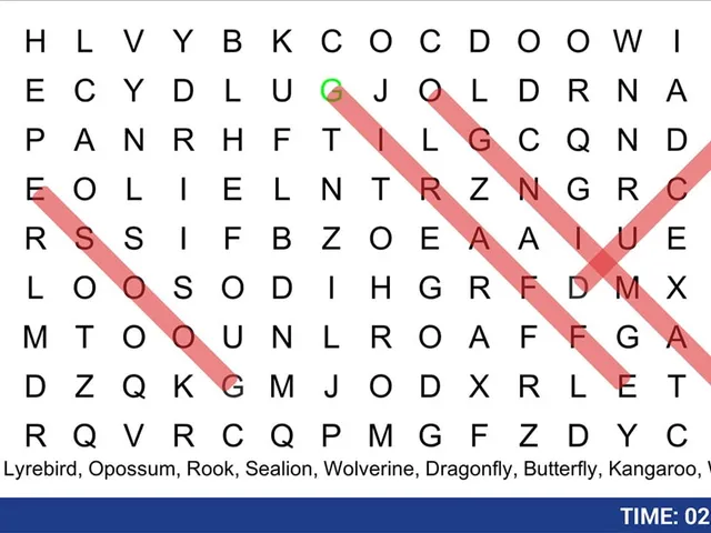 Word Search Puzzle: Find the Words!
