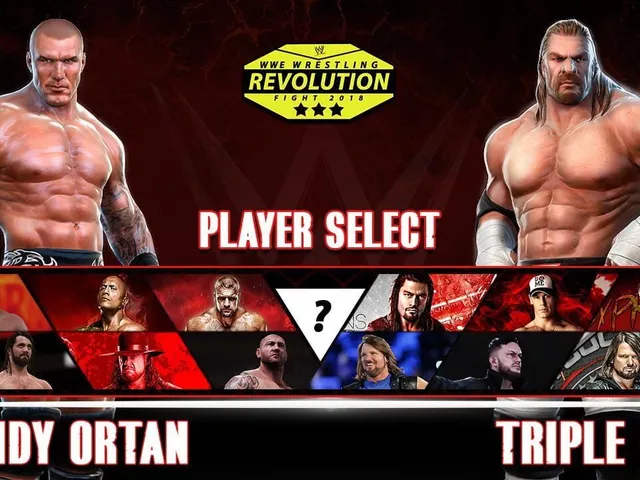 WWE Wrestling Revolution Fight 2018