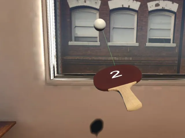Xtreme Paddleball