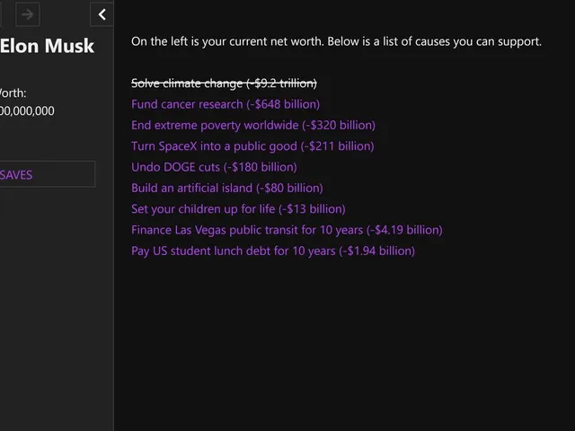 You Are Elon Musk