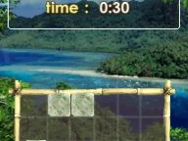 Zenses: Rainforest