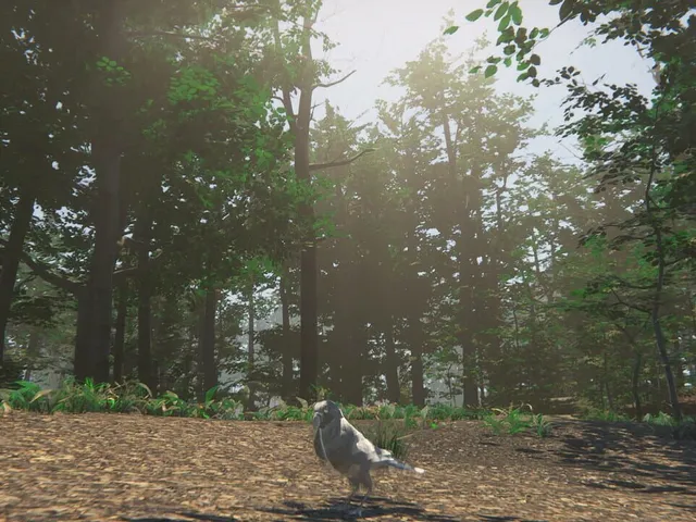 Bird
