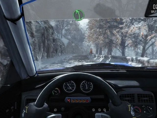Dirt Rally
