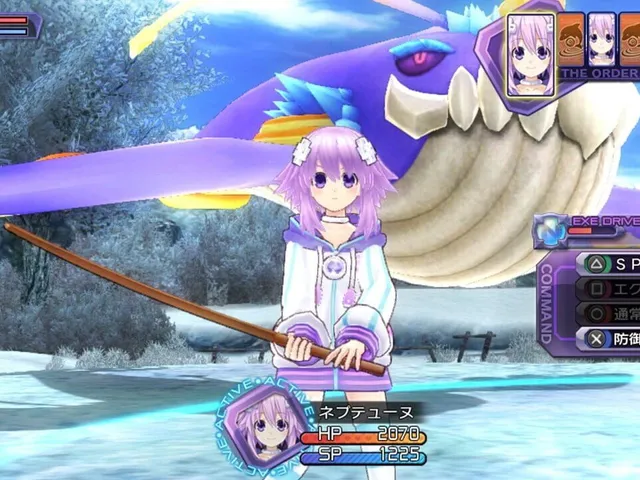 Hyperdimension Neptunia Re;Birth1