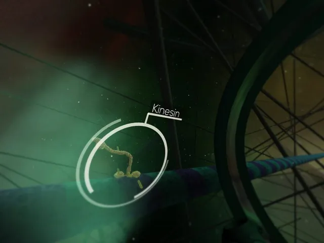 The Body VR: Journey Inside a Cell