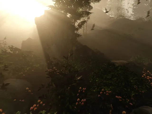The Forest