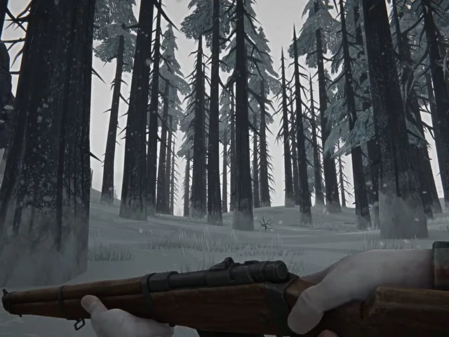 The Long Dark
